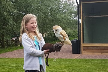 Birds of Prey Adventure Birds of Prey Adventure